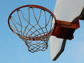 LEYU乐鱼体育官方网站-NBA球员防守意识培养训练法与行为转化研究，nba2021球员防守效率
