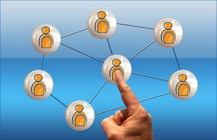 leyu乐鱼-意甲球队季中高强度赛程负荷与表现关系研究，意甲各项记录