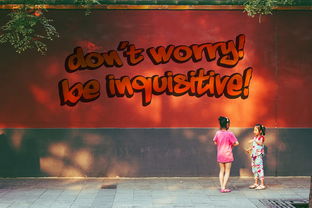 leyu乐鱼官网登录入口-命中率奇高的经典比赛整理，命中率极高