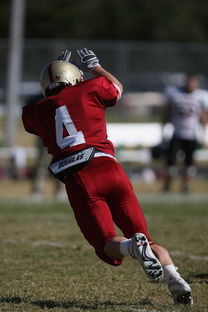 乐鱼官方登录入口-《冠军奥运篇》聚焦林跃:跳水带来的巨大转变,奥运冠军林跃有多优秀